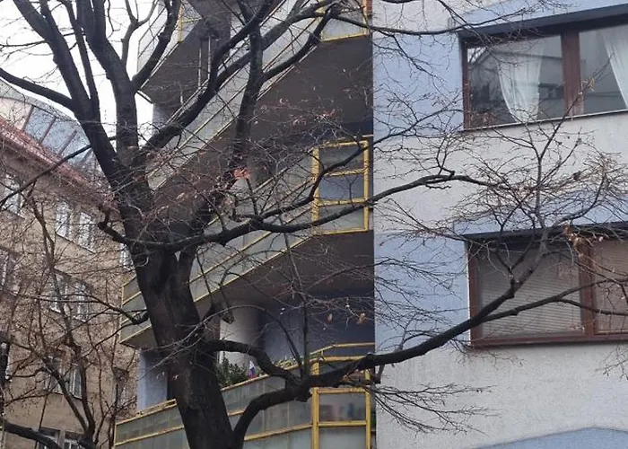 Huge Next To Train Station Close To The Center Apartman Pozsony